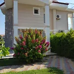 Calis 2 Φετιγιέ